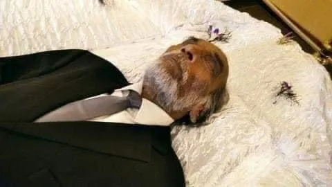 සිංහල සිනමාවේ ආදරණීය දුෂ්ඨයා සමුගනී 3 WhatsApp Image 2022 05 04 at 6.42.28 AM