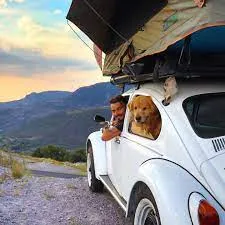 පුංචි කාරයෙන් ලොව වටා ගිය මිතුරන් දෙදෙනා අවාසනාවන්ත ලෙස මෙලොව හැර යයි (ඡායාරූප) 8 download 3