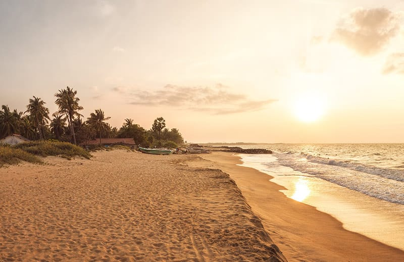 ලංකාව සතු දෙවනි විශාලත දූපත ස්විස්ටර්ලන්තයට හොර රහසේම බදු දෙයි 1 image 44