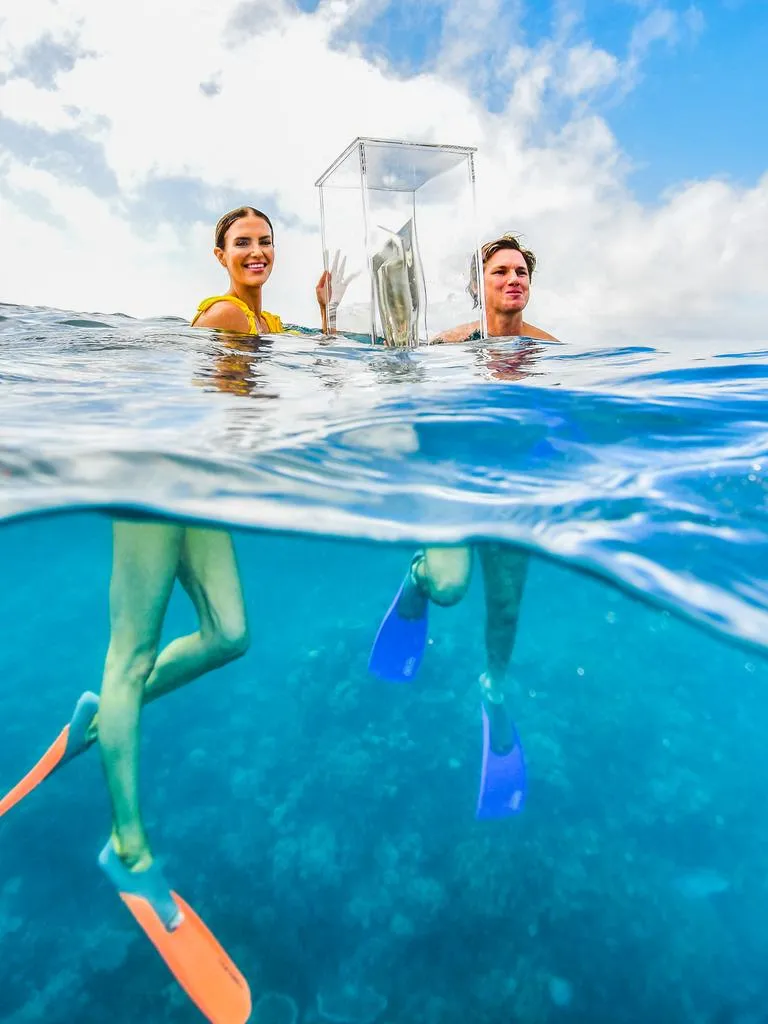 මුහුදු පතුළට රැගෙන ගිය විස්සයි විස්ස ලෝක කුසලානය (ඡායාරූප) 5 948028bbc7fe75ba27f017e13fb94744