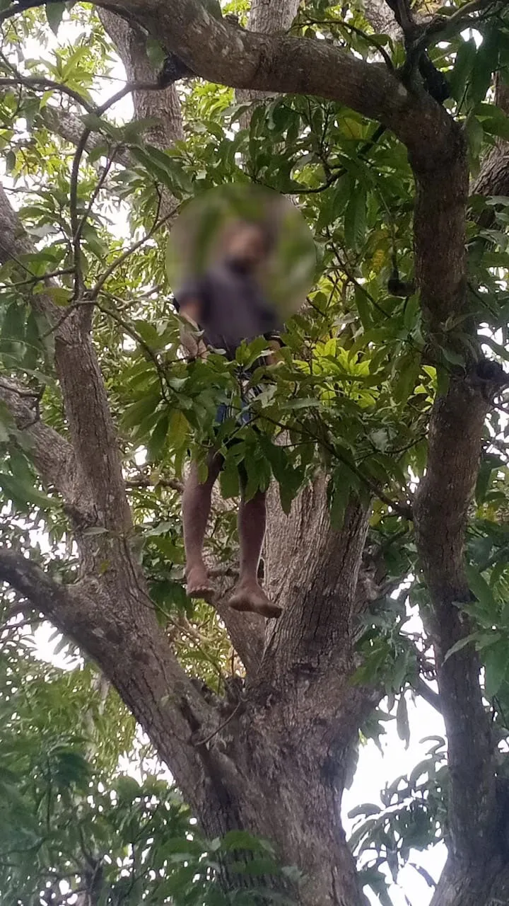 ඩුබායි සිට ආ බිරිඳ මරා සැමියාත් දිවි නසාගෙන (ඡායාරූප) 4 2