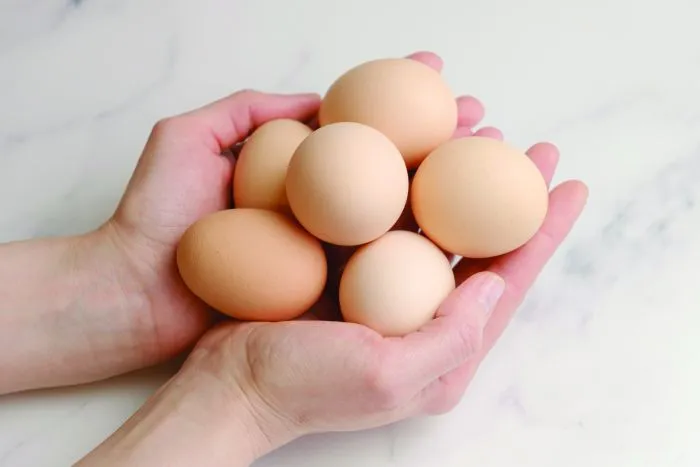 Eggs in hands