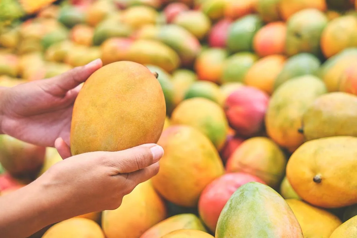 best mango varieties©iStock