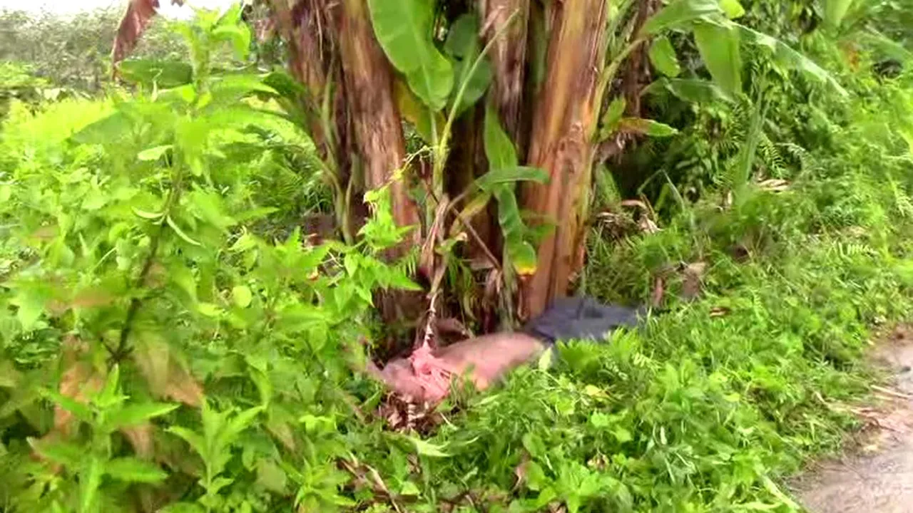 අභිරහස් ලෙස මිය ගිය අයෙකුගේ සිරුරක් මීටියාගොඩ වෙල්යායක් අසළ (ඡායාරූප) 2 WhatsApp Image 2022 10 21 at 11.54.01 AM