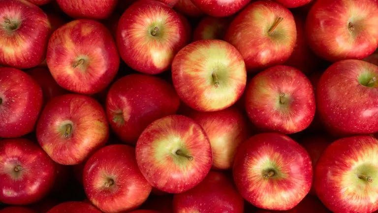 skynews apples istock 4867989