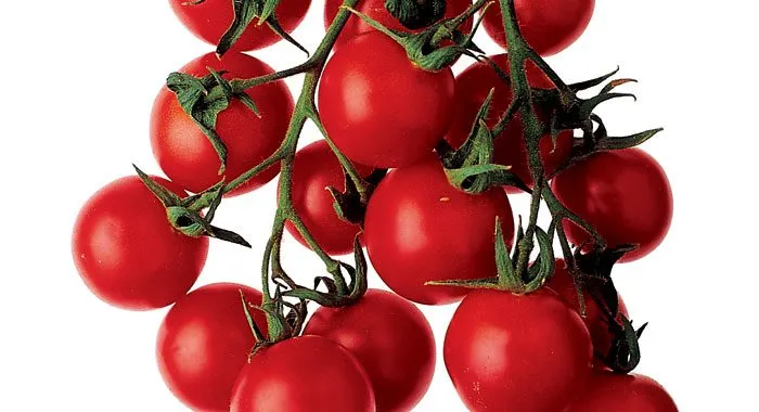 tomatoes 39dd2fd