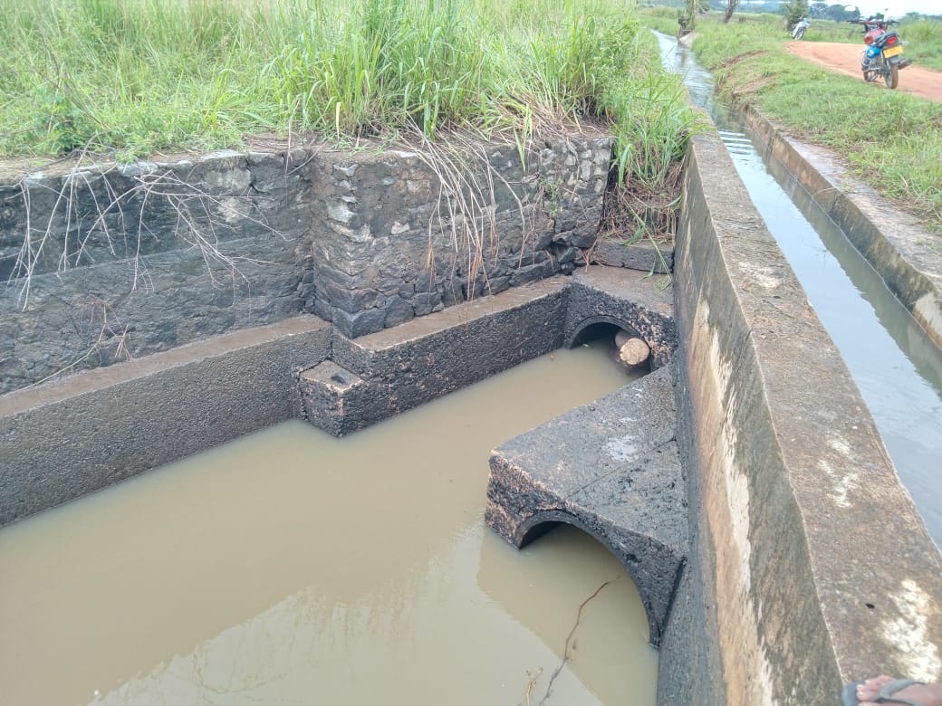 බෝක්කු බටයක සිරවූ වන අලියා මියයයි (ඡායාරූප) 2 2 1