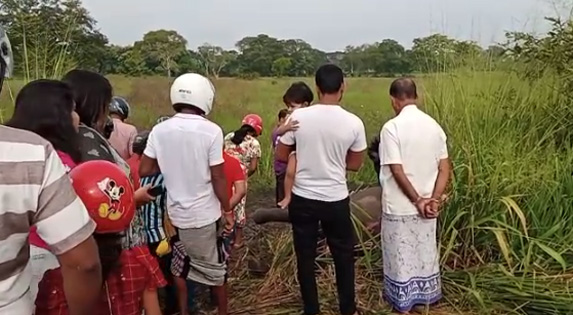 මෝටර් රථයක වන අලියෙක් ගැටී අලියා මරුට (ඡායාරූප) 2 3 1