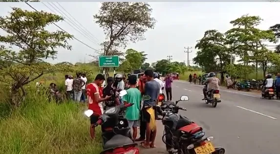 මෝටර් රථයක වන අලියෙක් ගැටී අලියා මරුට (ඡායාරූප) 3 4