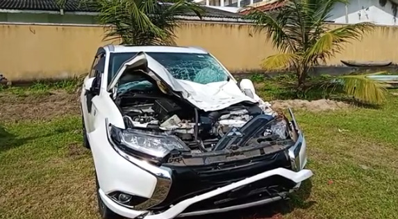 මෝටර් රථයක වන අලියෙක් ගැටී අලියා මරුට (ඡායාරූප) 4 5