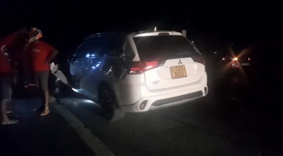 මෝටර් රථයක වන අලියෙක් ගැටී අලියා මරුට (ඡායාරූප) 7 8