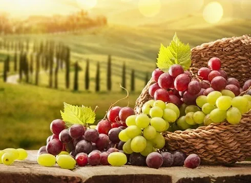 Grapes Blog Image