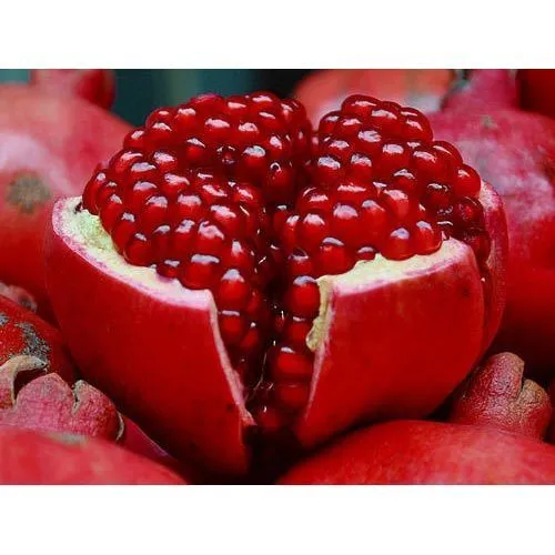 pomegranate seed 500x500 1