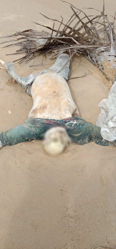 යාපනය වෙරළ තීරයේ මළ සිරුරු දෙකක් (ඡායාරූප) 1 01