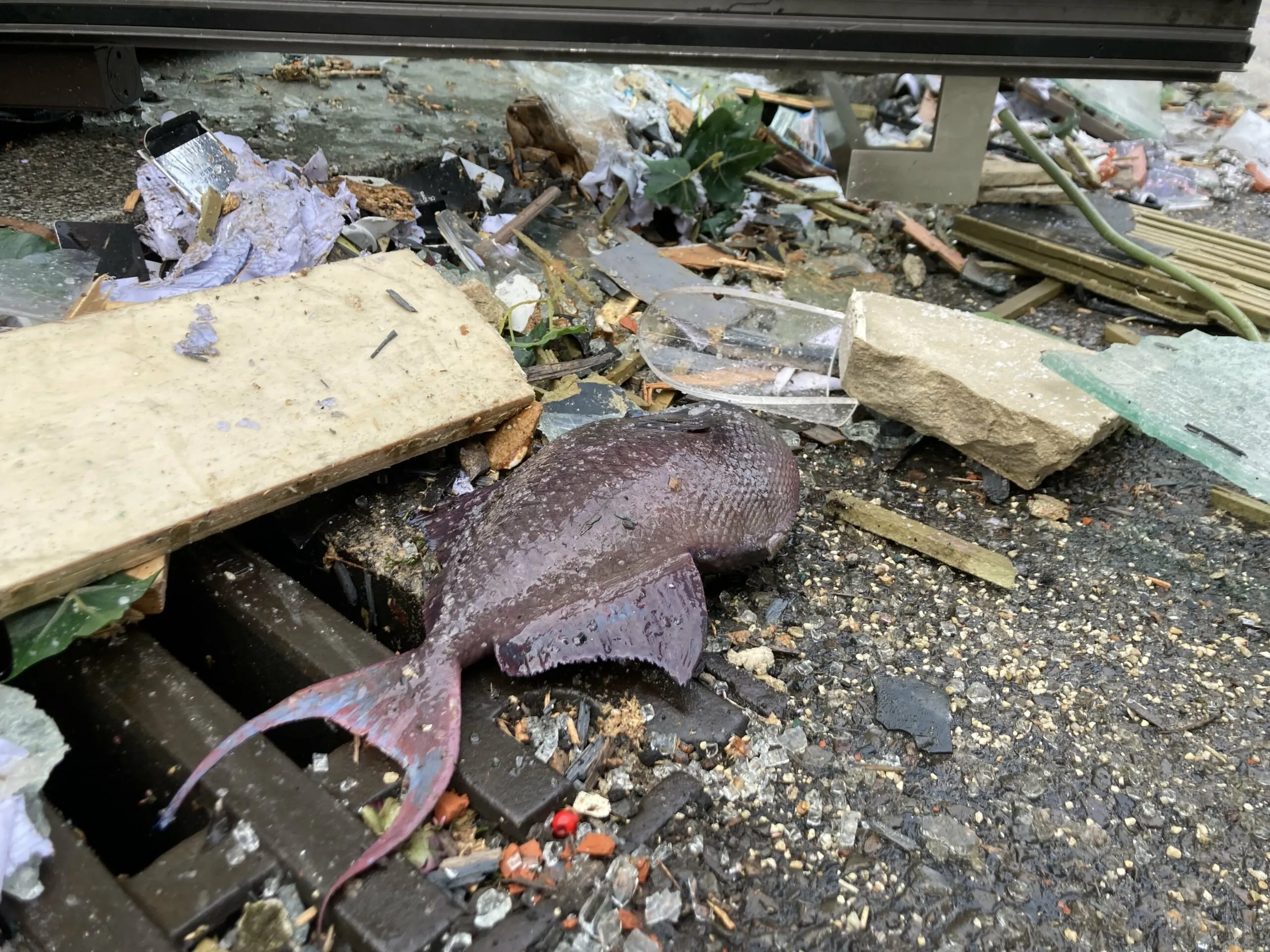 ලොව විශාලතම මත්ස්ය ටැංකිය පුපුරා යයි (ඡායාරූප) 11 107167491 1671194299398 gettyimages 1245652073 20090101221216 99 925897 scaled