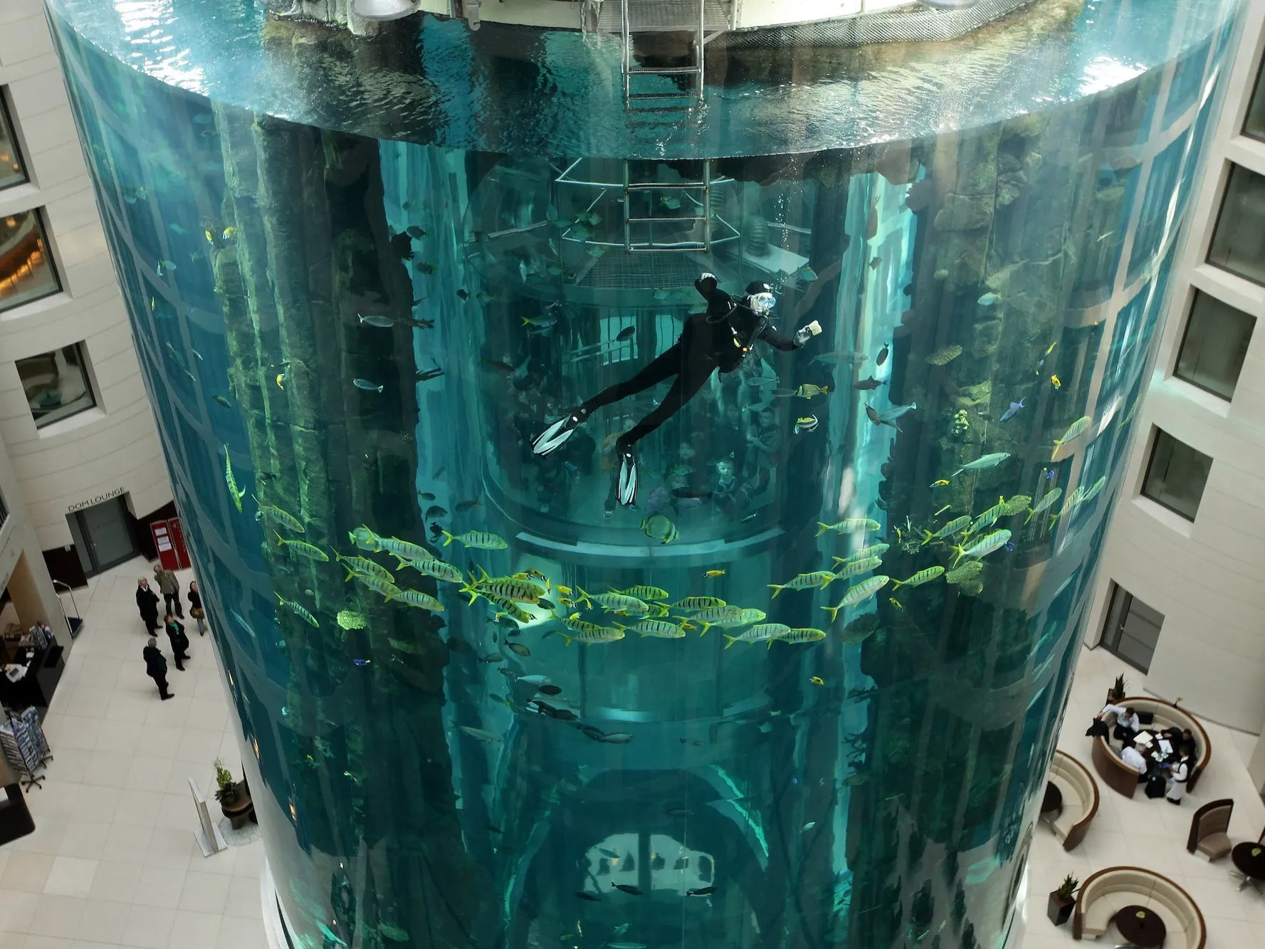 ලොව විශාලතම මත්ස්ය ටැංකිය පුපුරා යයි (ඡායාරූප) 4 1671221931 SeanGallup Staff