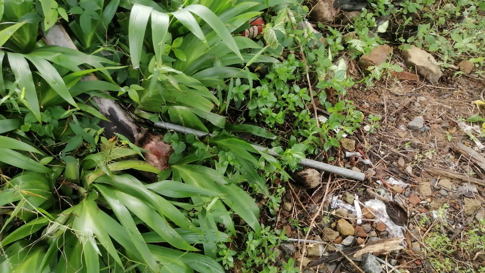 කාන්තාවන් දෙදෙනෙක් සමඟ පිරිසක් එක්ව තිදරු පියෙක් ඝාතනය කරලා (ඡායාරූප) 3 4a9e4773 1cbe 48e5 8e44 30151fb198de