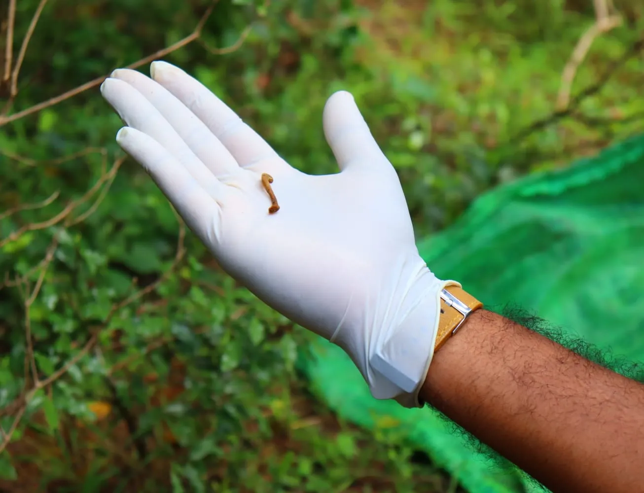 කැලයක වළදමා තිබූ බිළිඳු මළ සිරුරක කොටස් ගොඩගැනේ (ඡායාරූප) 1 Mulathive 04