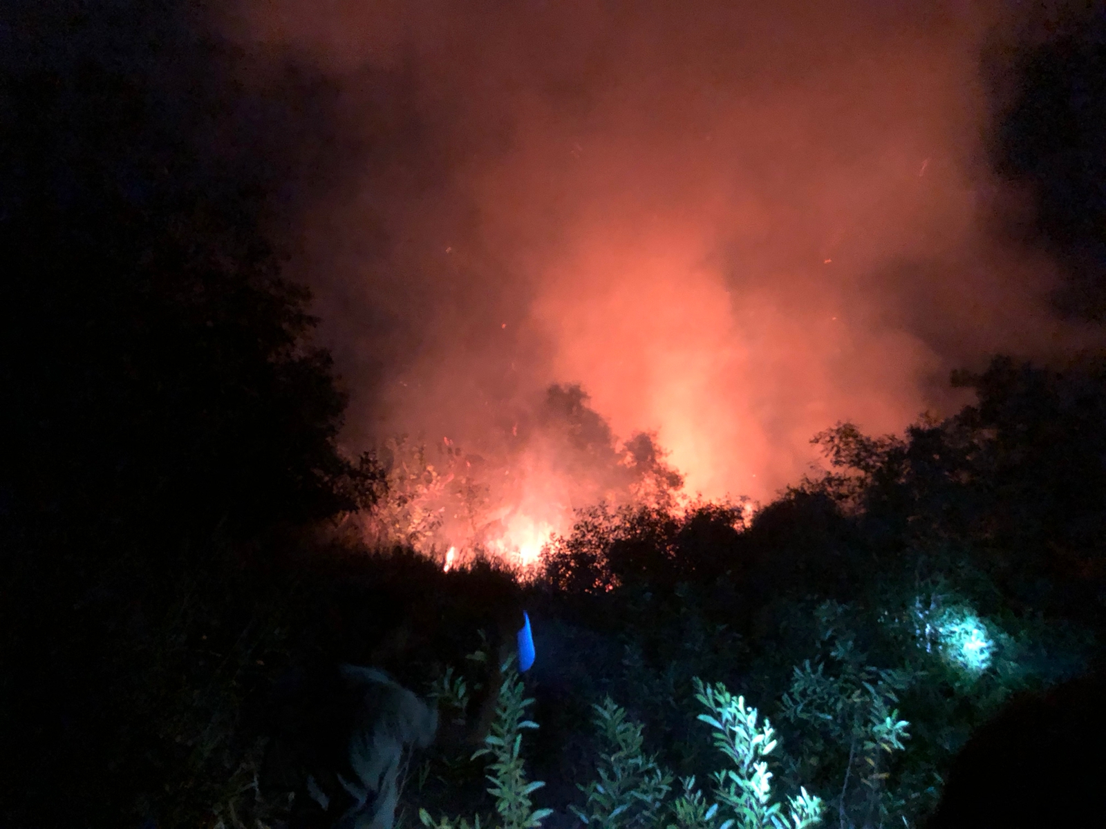 මාදම්පේ කොහු කර්මාන්ත ශාලාවක ගින්නක් (ඡායාරූප) 5 15