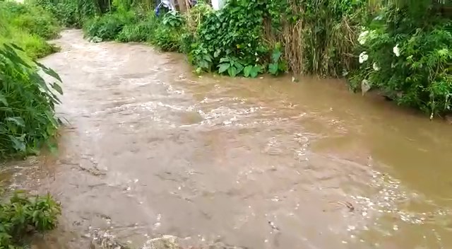 බගවන්තලාවට තද වැසි කෙසෙල්ගමුඔය පිටාර ගලයි(ඡායාරූප) 10 15