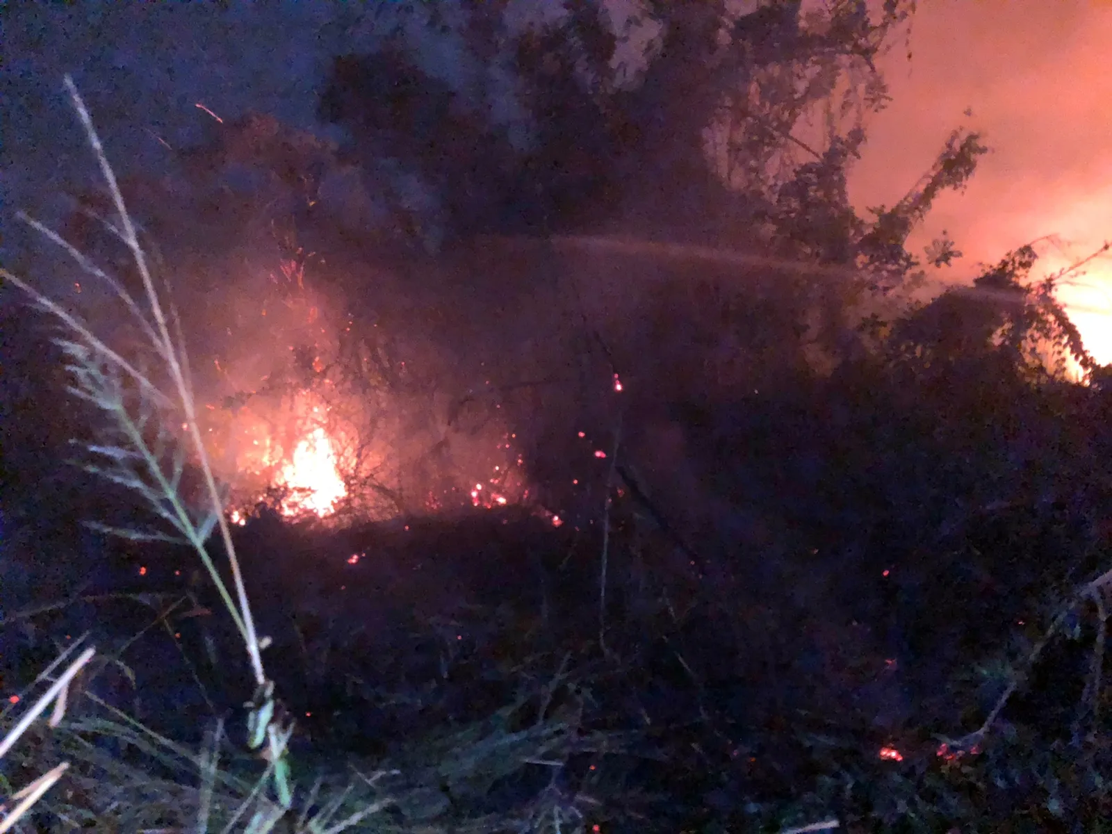 මාදම්පේ කොහු කර්මාන්ත ශාලාවක ගින්නක් (ඡායාරූප) 4 16