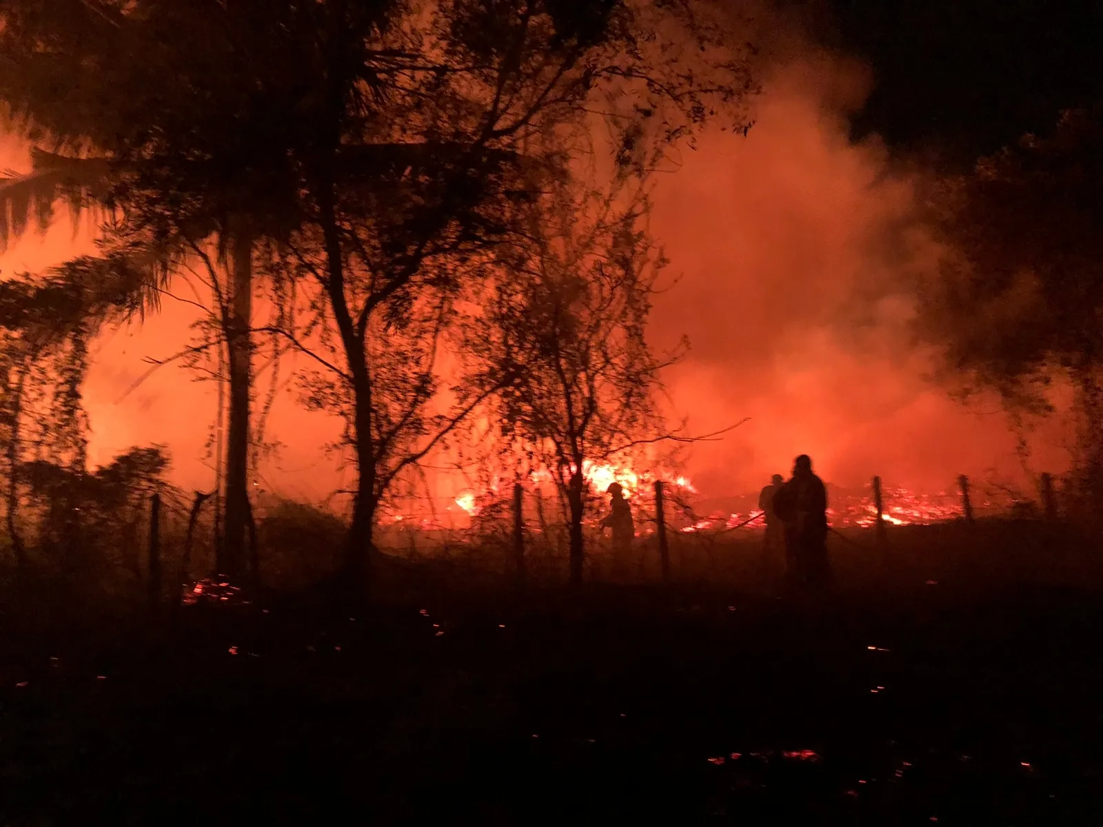 මාදම්පේ කොහු කර්මාන්ත ශාලාවක ගින්නක් (ඡායාරූප) 3 18