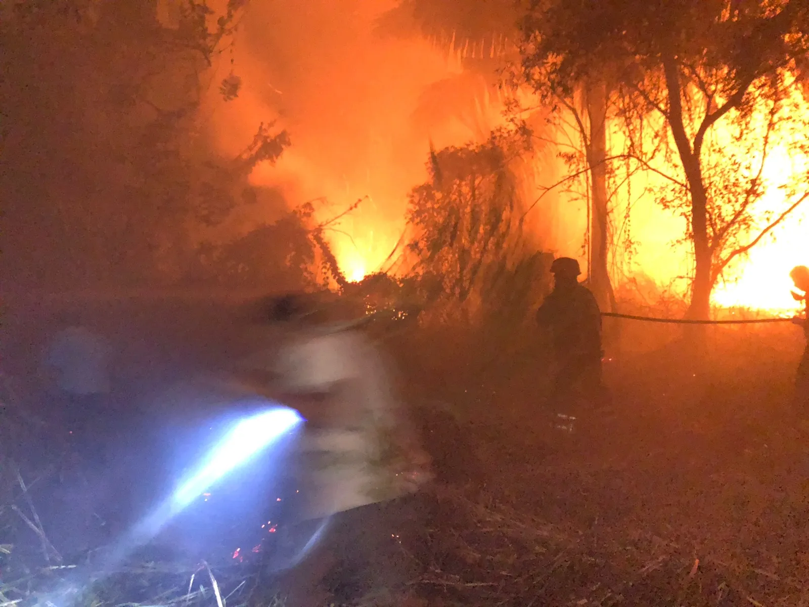 මාදම්පේ කොහු කර්මාන්ත ශාලාවක ගින්නක් (ඡායාරූප) 2 19