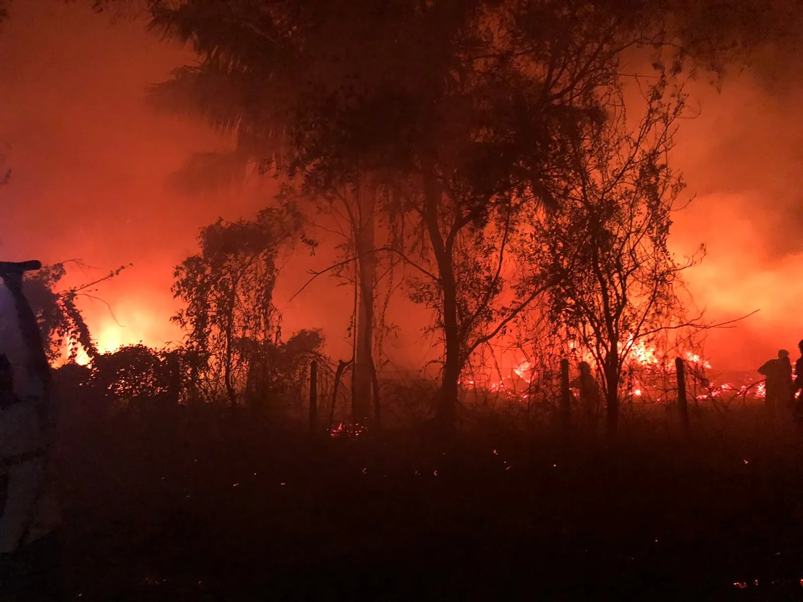 මාදම්පේ කොහු කර්මාන්ත ශාලාවක ගින්නක් (ඡායාරූප) 1 20