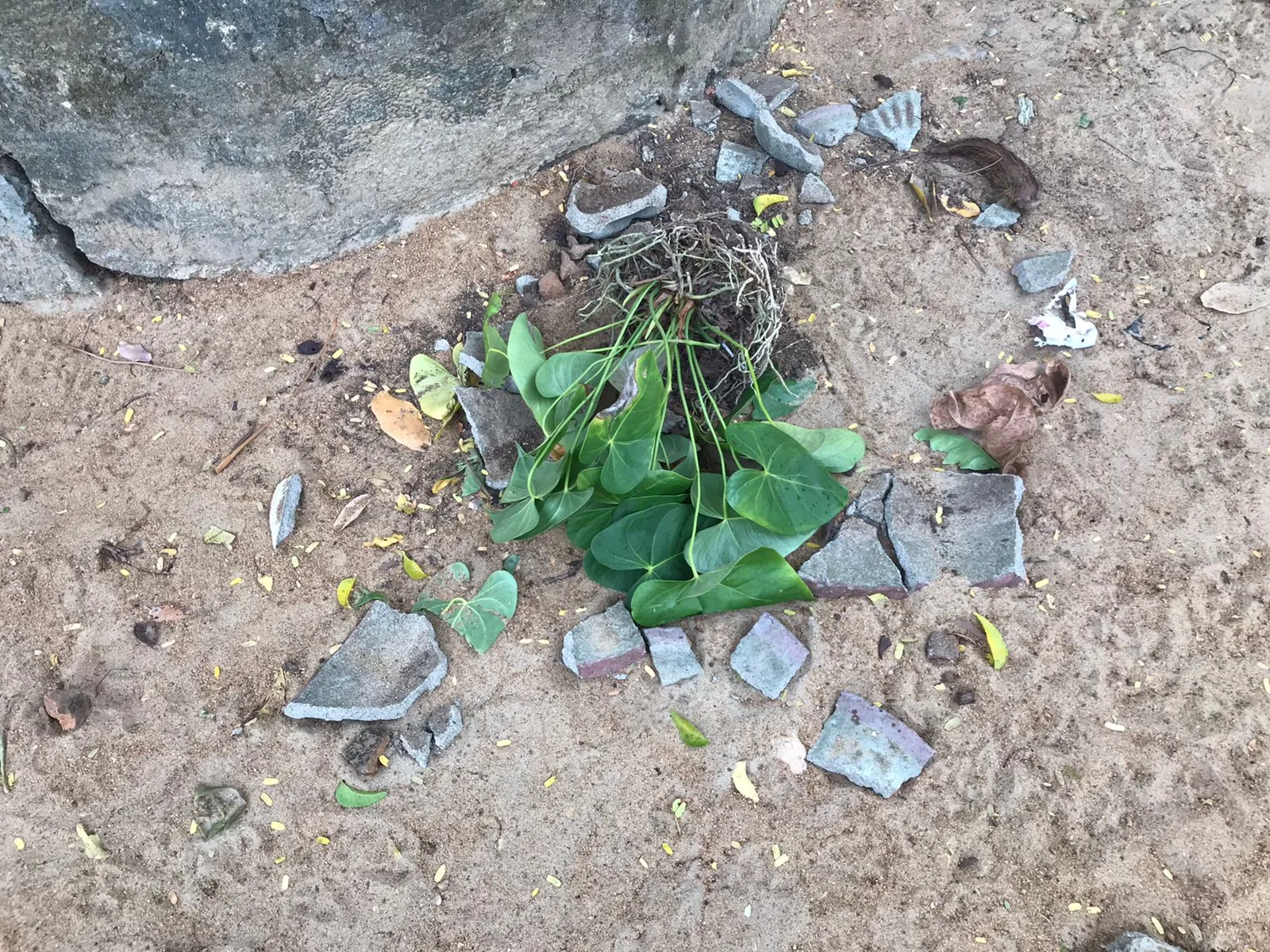 පහරදීමකින් පසුව හිමිනමක් අපවත් වෙයි(ඡායාරූප) 2 WhatsApp Image 2023 03 01 at 09.56.39