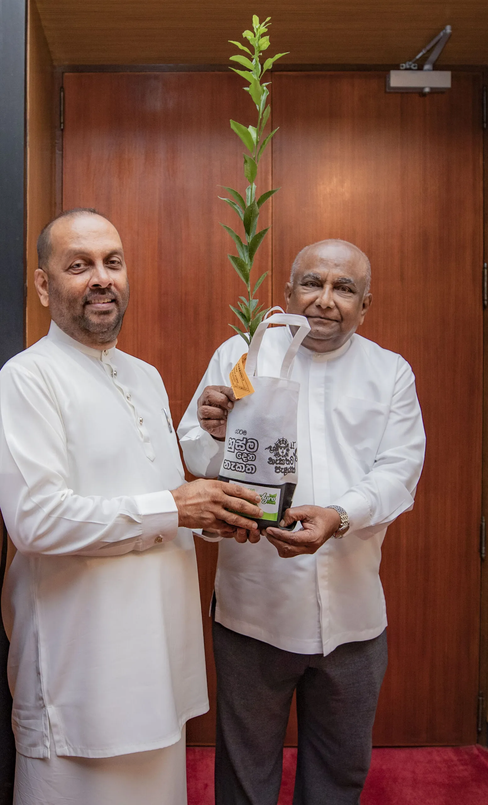 නැකතට පැළයක් - ජාතික රෝපණ නැකත 20 වැනිදා(ඡායාරූප) 3 0H9A3287 1 scaled