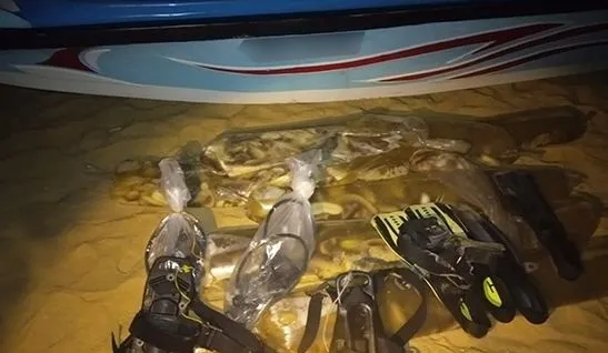 යාපනය මුහුදේ මුහුදු කූඩැල්ලන් ඇල්ලූ ධීවරයින් 17 ක් අත්අඩංගුවට(ඡායාරූප) 1 10 1