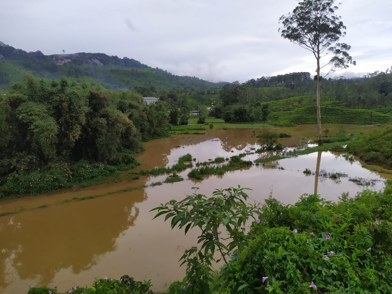 කෙසෙල්ගමු ඔය පිටාර ගලයි (ඡායාරූප) 3 3 12