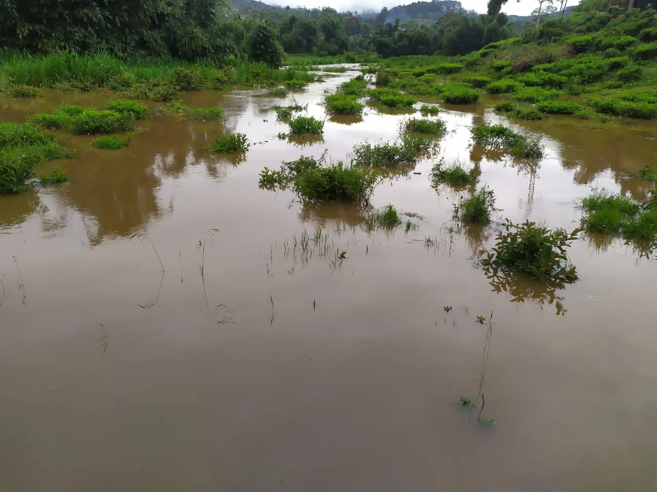 කෙසෙල්ගමු ඔය පිටාර ගලයි (ඡායාරූප) 4 4 11