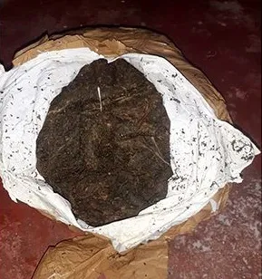 යාපනය මුහුදේ මුහුදු කූඩැල්ලන් ඇල්ලූ ධීවරයින් 17 ක් අත්අඩංගුවට(ඡායාරූප) 7 5 2