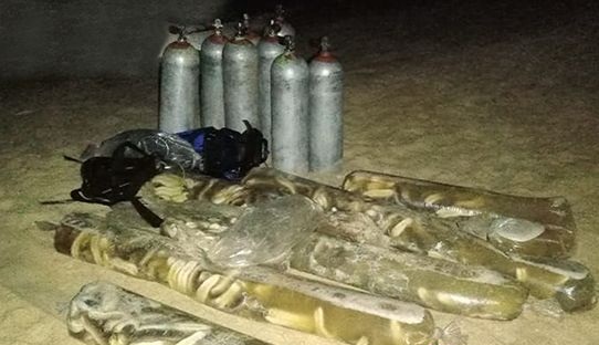 යාපනය මුහුදේ මුහුදු කූඩැල්ලන් ඇල්ලූ ධීවරයින් 17 ක් අත්අඩංගුවට(ඡායාරූප) 2 9 1