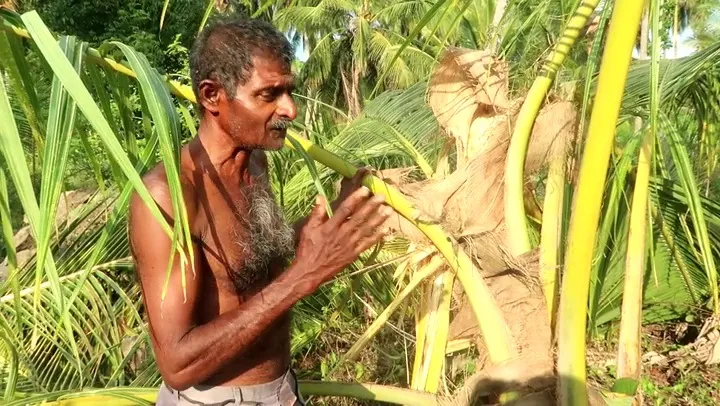 කන්නිමඩුවට ආ අලි රංචුවක් කළ විනාශයක්(ඡායාරූප) 5 IMG 20230407 WA0019