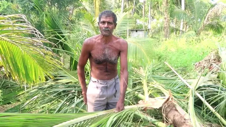 කන්නිමඩුවට ආ අලි රංචුවක් කළ විනාශයක්(ඡායාරූප) 3 IMG 20230407 WA0020