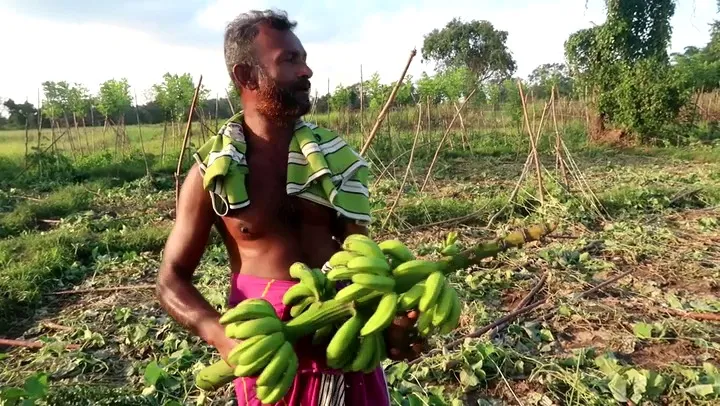 කන්නිමඩුවට ආ අලි රංචුවක් කළ විනාශයක්(ඡායාරූප) 4 IMG 20230407 WA0022