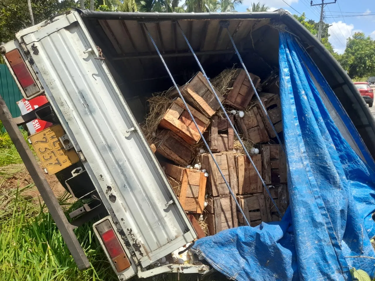 බිත්තර ලොරියක් ගලගමුවේදී පෙරලෙයි - ලක්ෂ 12 ක බිත්තර විනාශයි(ඡායාරූප) 2 WhatsApp Image 2023 04 07 at 11.25.47