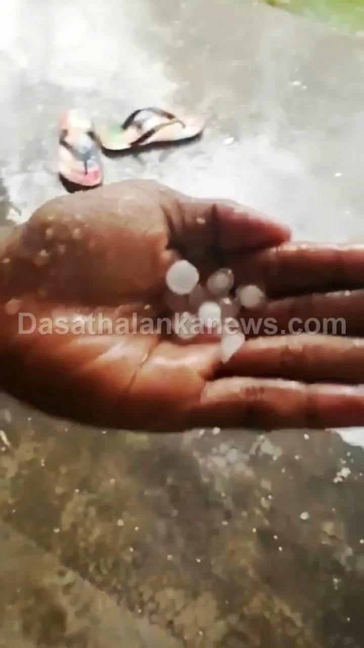 කලා වැවට අයිස් වැස්සක් - මසුන් දහස් ගණනක් අස්වාභාවික ලෙස මිය ගිහින් (ඡායාරූප) 7 WhatsApp Image 2023 04 16 at 2.56.51 PM