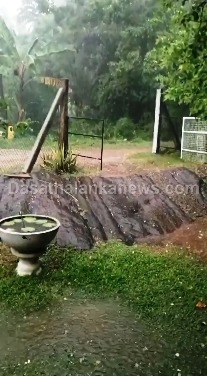 කලා වැවට අයිස් වැස්සක් - මසුන් දහස් ගණනක් අස්වාභාවික ලෙස මිය ගිහින් (ඡායාරූප) 8 WhatsApp Image 2023 04 16 at 2.56.53 PM