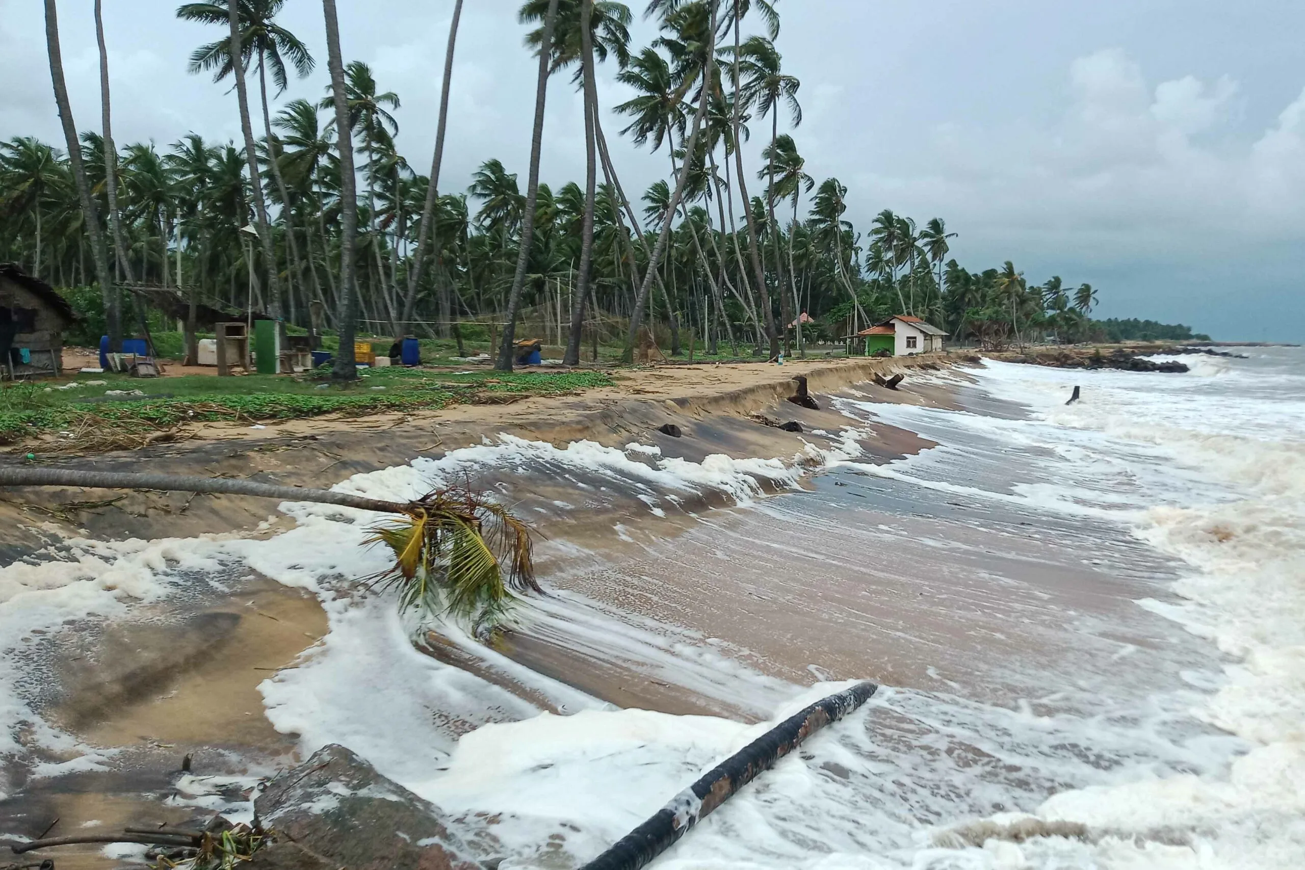 මුහුදු ඛාදනය හේතුවෙන් ඉරණවිල ප්රදේශයේ ධීවරයින් පීඩාවට(ඡායාරූප) 5 50 scaled