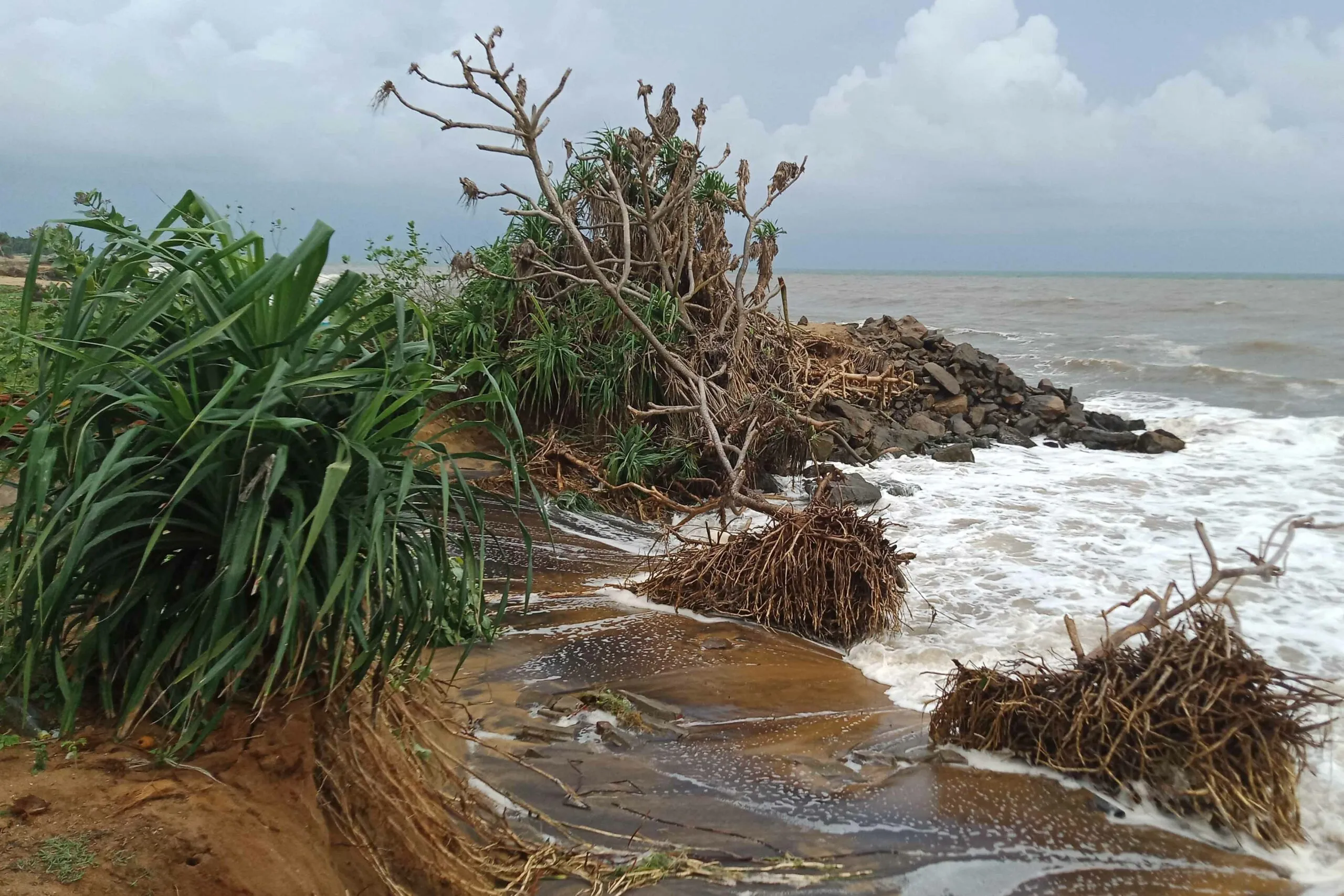 මුහුදු ඛාදනය හේතුවෙන් ඉරණවිල ප්රදේශයේ ධීවරයින් පීඩාවට(ඡායාරූප) 2 76 scaled