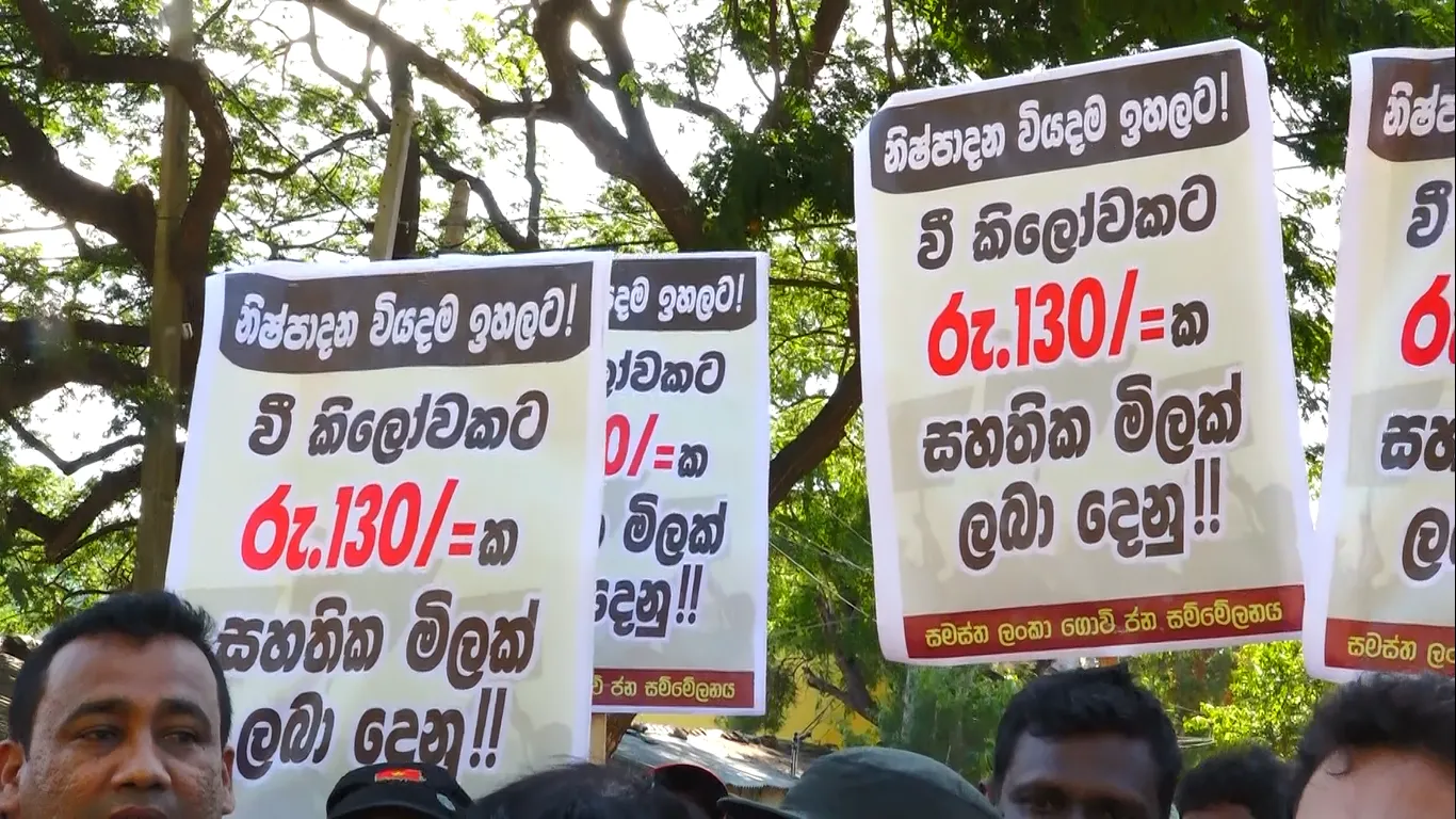 වී කිලෝවට රුපියල් 130 ක සහතික මිලක් ඉල්ලා ගොවියෝ පාරට බසී 1 2023 06 28 protest 2