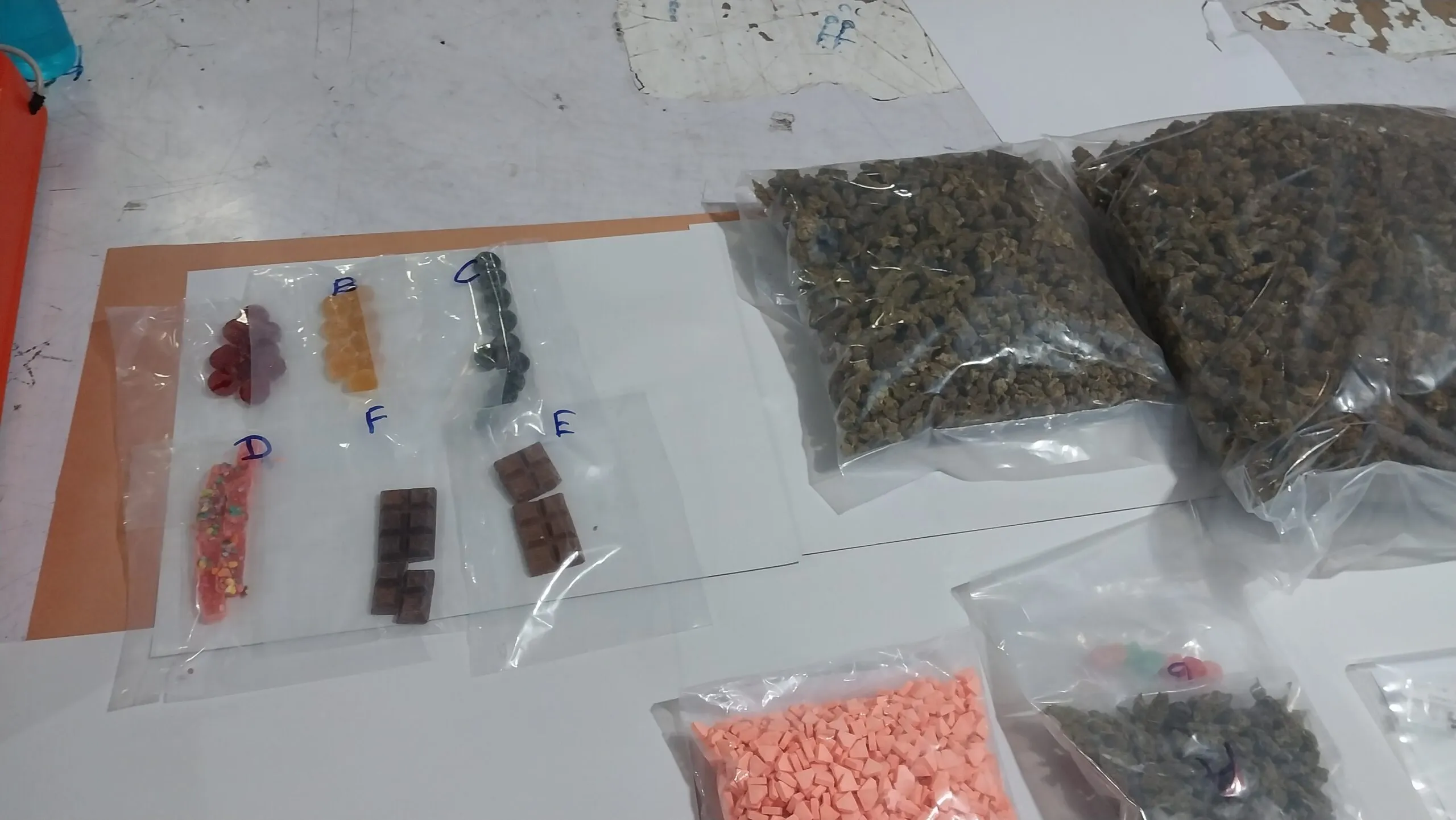 ශ්රී ලංකා රේගු ඉතිහාසයේ විශාලතම මත්ද්රව්ය වැටලීමක් 1 20230725 165911 scaled