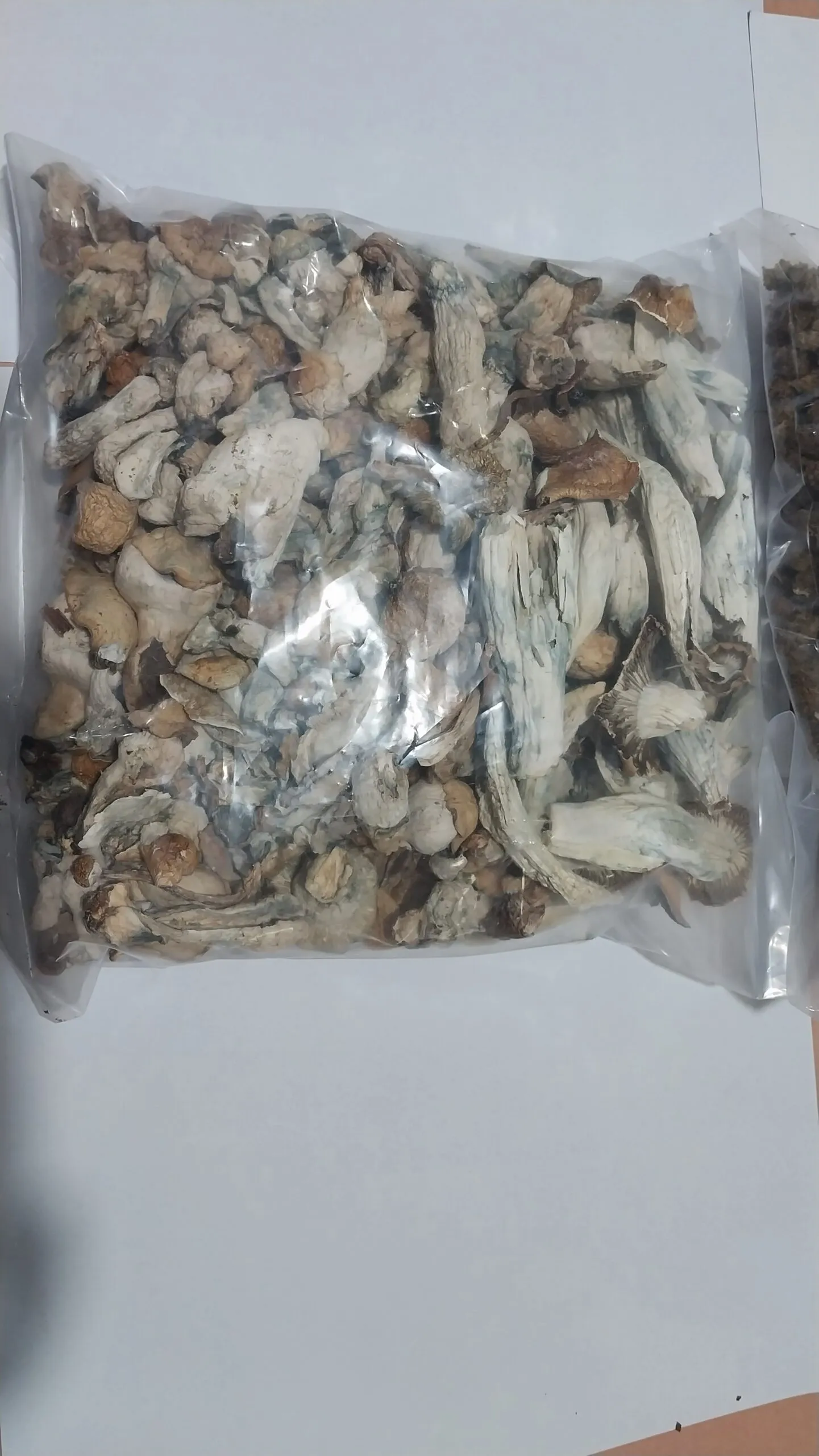 ශ්රී ලංකා රේගු ඉතිහාසයේ විශාලතම මත්ද්රව්ය වැටලීමක් 3 20230725 170100 scaled