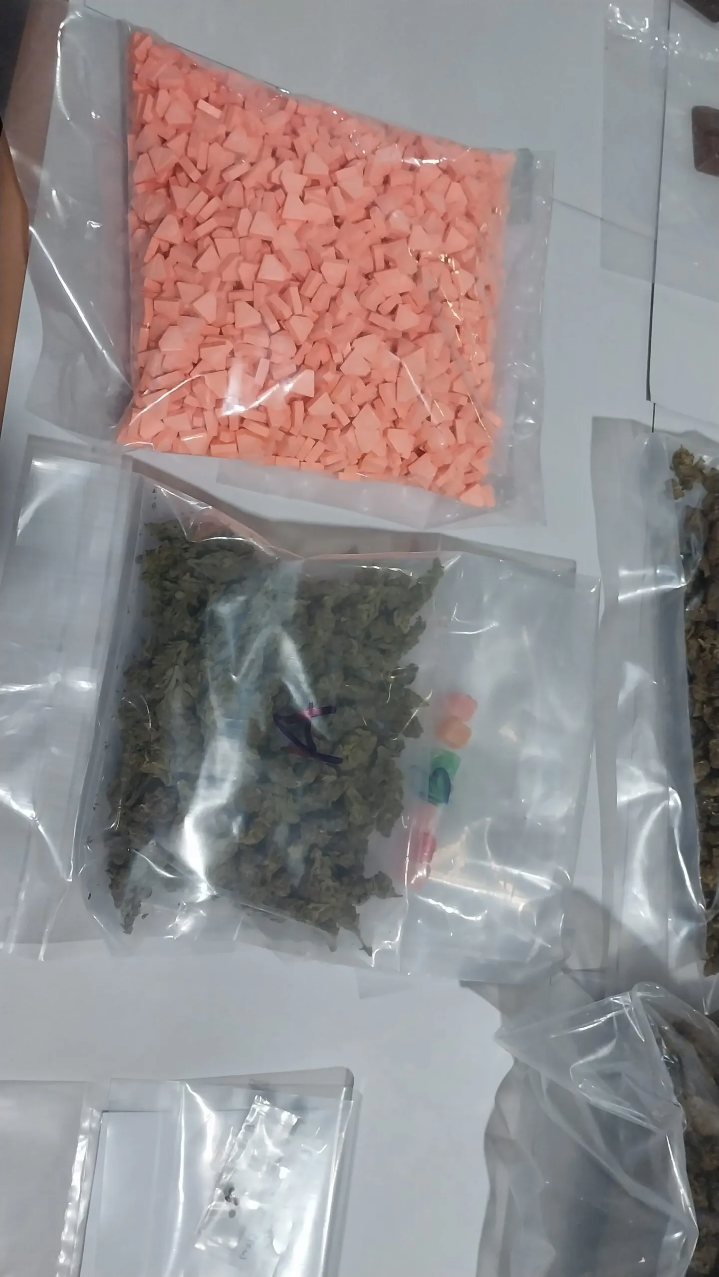 ශ්රී ලංකා රේගු ඉතිහාසයේ විශාලතම මත්ද්රව්ය වැටලීමක් 4 20230725 170123 scaled