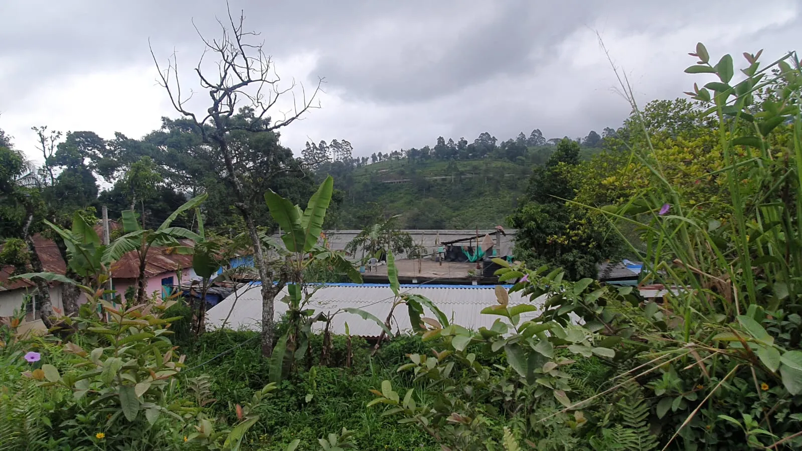 රාත්රියේ නිවසේ නින්දට ගිය කාන්තාවගේ මළ සිරුර උදෑසන ඇලකින් හමුවෙයි (ඡායාරූප) 1 5 1 1