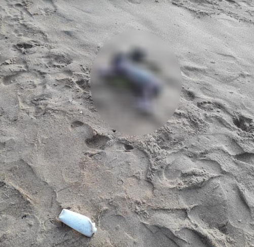 මුතුපන්තිය වෙරළේ බිළිඳු මළ සිරුරක් (ඡායාරූප) 1 1 2