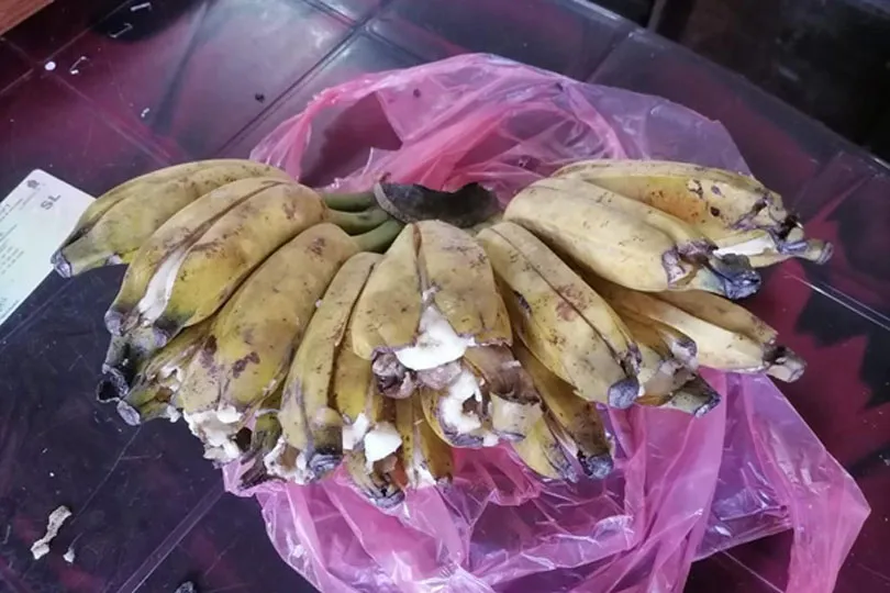 කෙසෙල් අස්සේ සැඟවූ හෙරොයින් බන්ධනාගාරයට යවන්න ගිහින් මාට්ටු (ඡායාරූප) 2 image 8eaab7df74